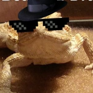 Meet your Posher, Angelo